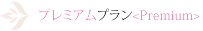 プレミアムプラン